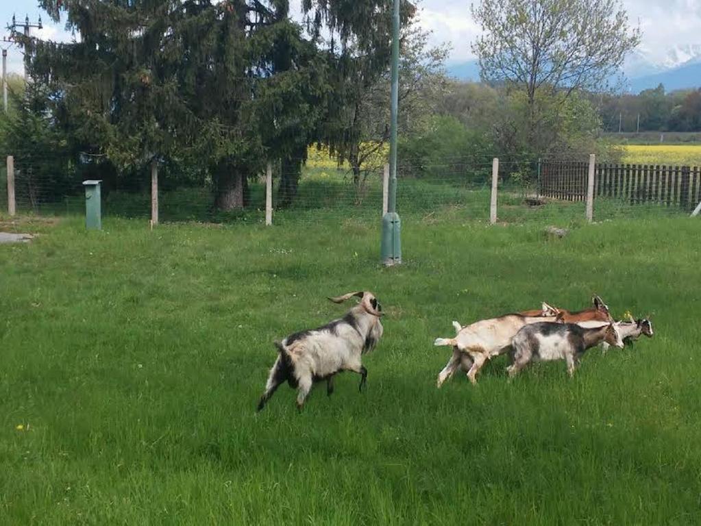 Borova Sihot Atc And Penzion Liptovský Hrádok Zewnętrze zdjęcie